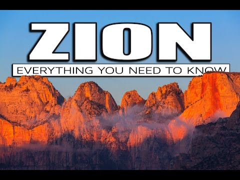 Everything You Need to Know Before Visiting Zion National Park: Tips &amp; Must-Knows!