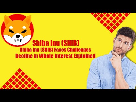 Shiba Inu (SHIB) Faces Challenges: Decline in Whale Interest Explained | Mastercryptomaster