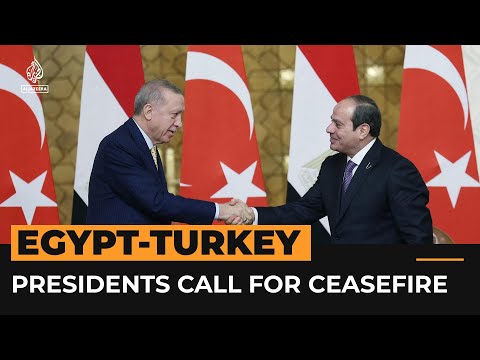 Turkey and Egypt call for ceasefire in Gaza | Al Jazeera Newsfeed